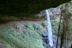 Silver Falls Park