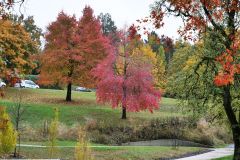 Gabriel Park Portland