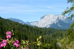 Velotour nach Budapest