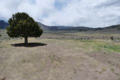 Old Spanish Trail