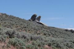 Owyhee River