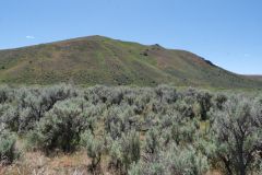Owyhee River