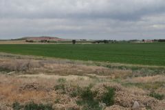 US 95