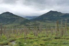 Dalton Hwy