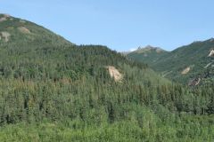 George Parks Hwy