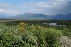 Denali Hwy