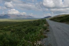 Denali Hwy