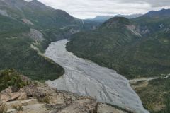 Matanuska River Lion Head