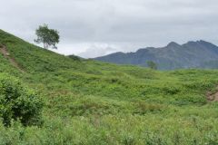 Marmot Mountain Trail