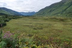 Seward Hwy