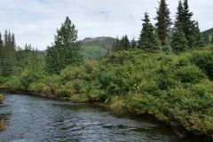 Seward Hwy