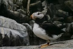 Alaska SeaLife Center Seward