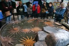 Alaska SeaLife Center Seward