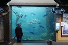 Alaska SeaLife Center Seward