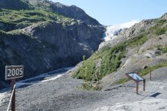 Exit Glacier
