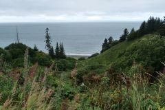 Cook Inlet