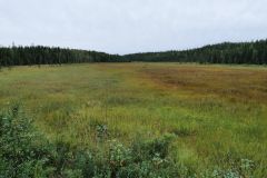 Swanson River Road