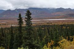 Glenn Hwy