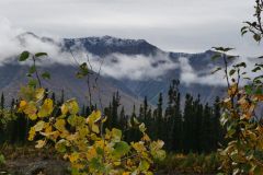 Alaska Hwy