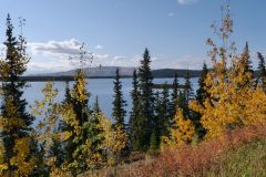 Alaska Hwy Midway Lake