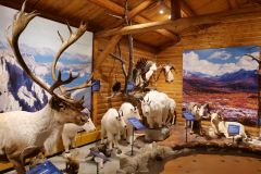 Whitehorse MacBride Museum of Yukon History