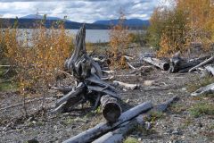 Teslin Lake