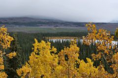 Alaska Hwy Swan Lake