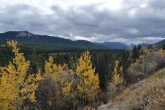 Alaska Hwy