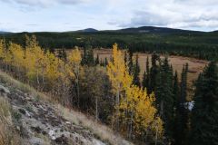 Alaska Hwy
