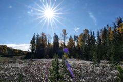 Alaska Hwy