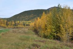 Alaska Hwy