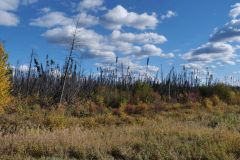 Alaska Hwy