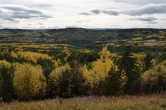 Alaska Hwy