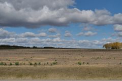 Highway 43