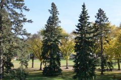 Edmonton