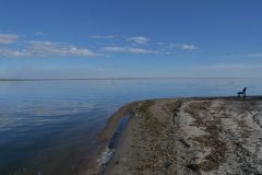 Buck Lake