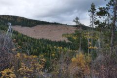 Rossland Cascade Road
