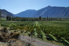 Crowsnest Hwy
