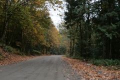 Silver Skagit Road